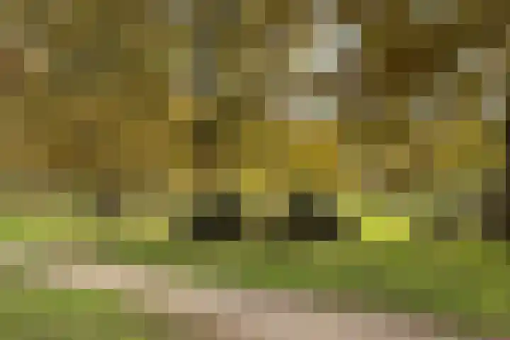 Admiraal de Ruyterlaan 27 Hilversum thumbnail 24
