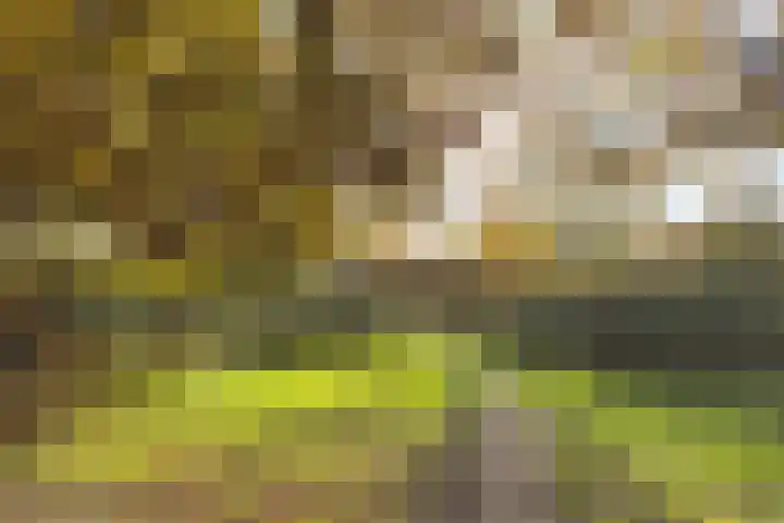 Admiraal de Ruyterlaan 27 Hilversum thumbnail 26