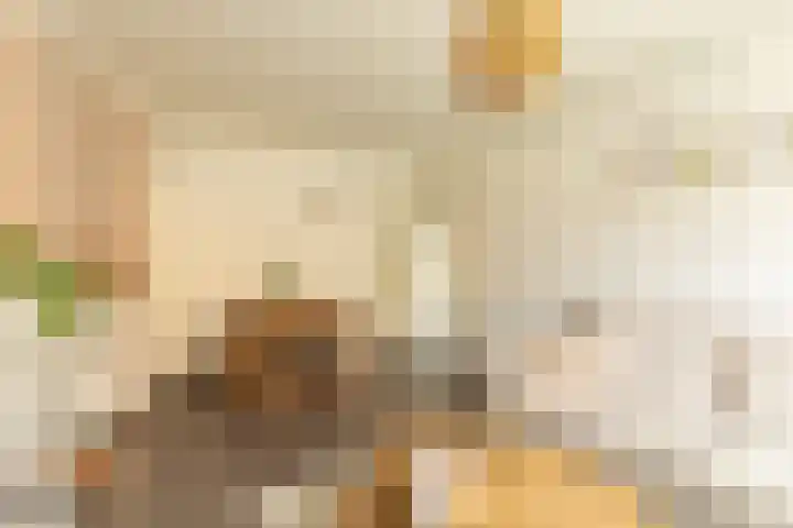 Admiraal de Ruyterlaan 27 Hilversum thumbnail 6