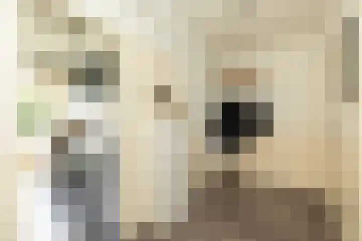 Admiraal de Ruyterlaan 27 Hilversum thumbnail 9