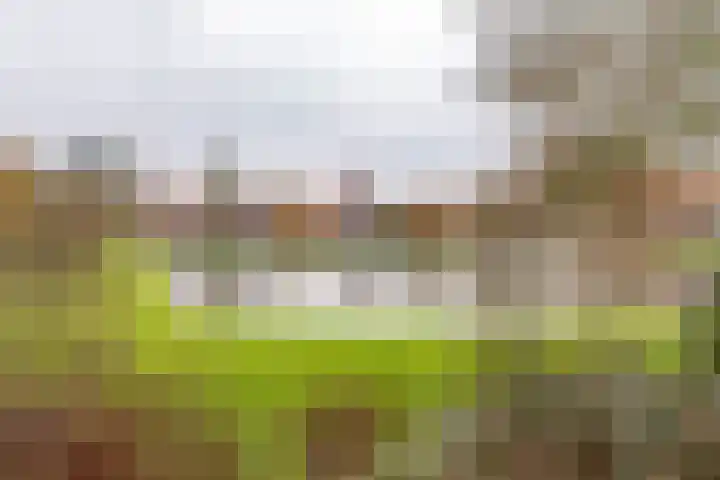 Admiraal de Ruyterlaan 28 f Groningen thumbnail 41