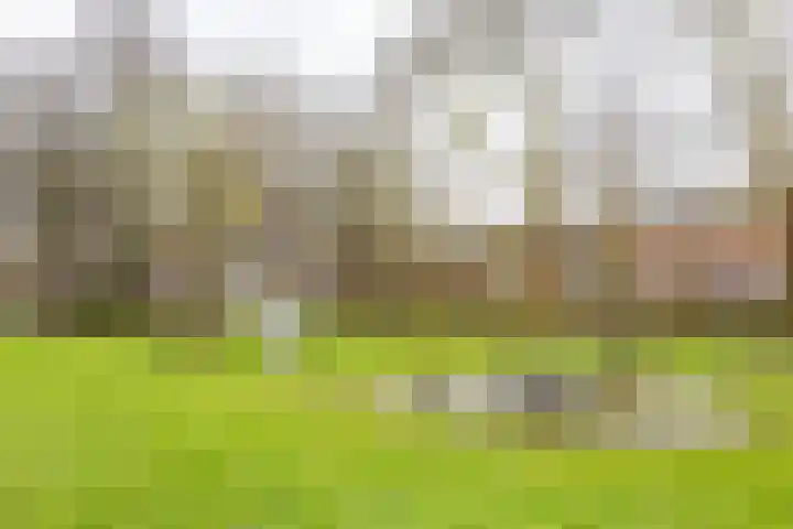 Admiraal de Ruyterlaan 28 f Groningen thumbnail 42