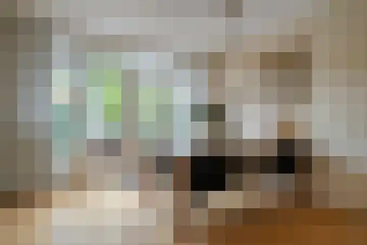 Admiraal de Ruyterlaan 3 Oegstgeest thumbnail 13