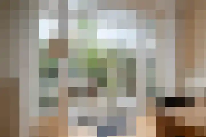 Admiraal de Ruyterlaan 3 Oegstgeest thumbnail 14