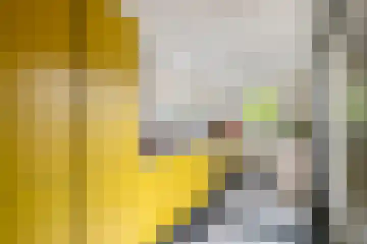 Admiraal de Ruyterlaan 3 Oegstgeest thumbnail 15