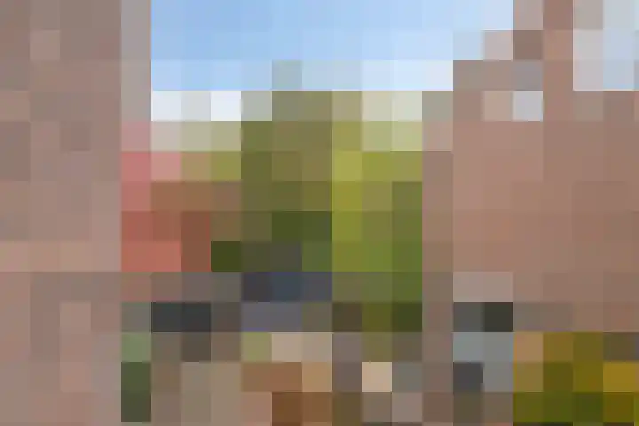 Admiraal de Ruyterlaan 3 Oegstgeest thumbnail 23