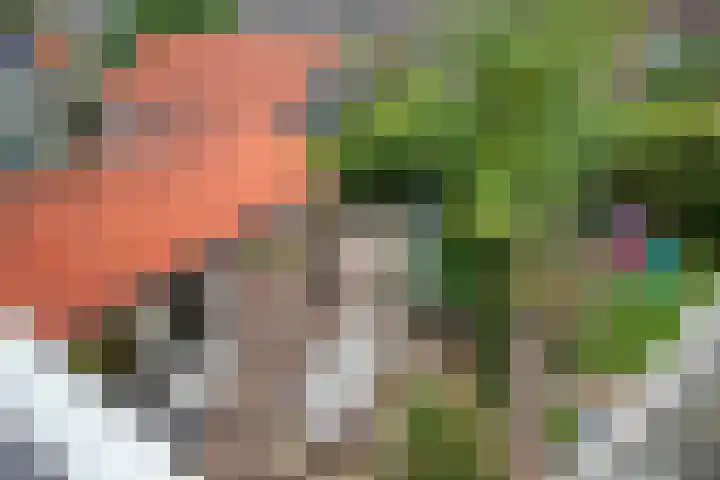 Admiraal de Ruyterlaan 3 Oegstgeest thumbnail 31