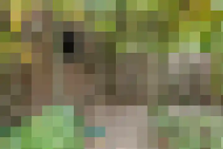 Admiraal de Ruyterlaan 3 Oegstgeest thumbnail 34
