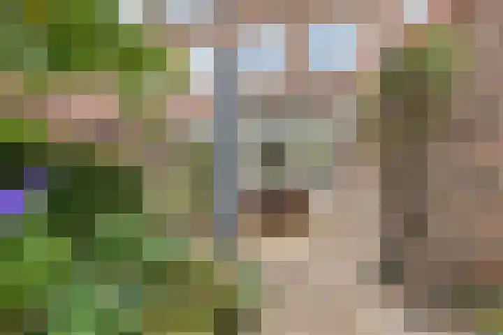 Admiraal de Ruyterlaan 3 Oegstgeest thumbnail 36