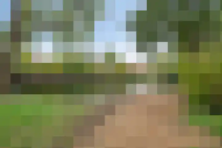 Admiraal de Ruyterlaan 3 Oegstgeest thumbnail 39
