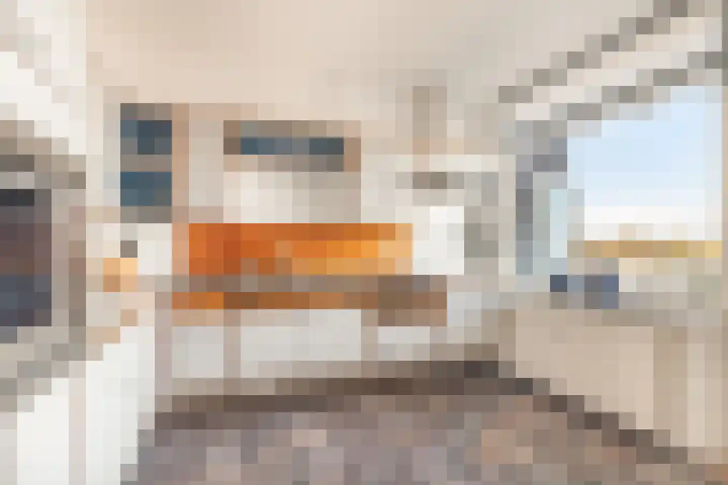 Admiraal de Ruyterlaan 30 Castricum thumbnail 12
