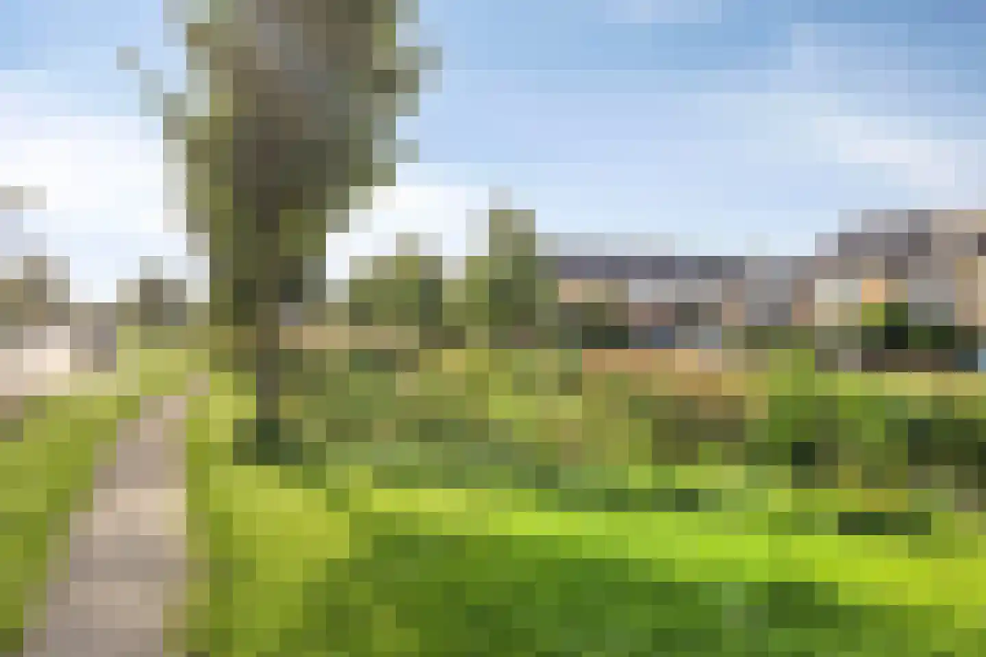 Admiraal de Ruyterlaan 30 Castricum thumbnail 36