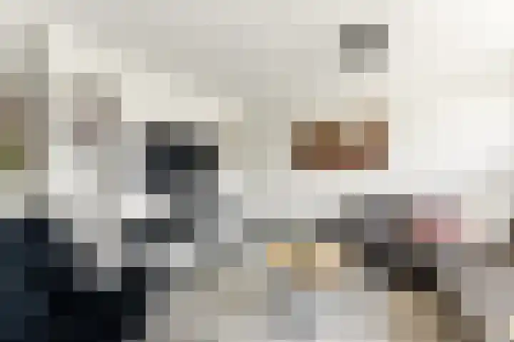 Admiraal de Ruyterlaan 30 Hendrik-Ido-Ambacht thumbnail 6