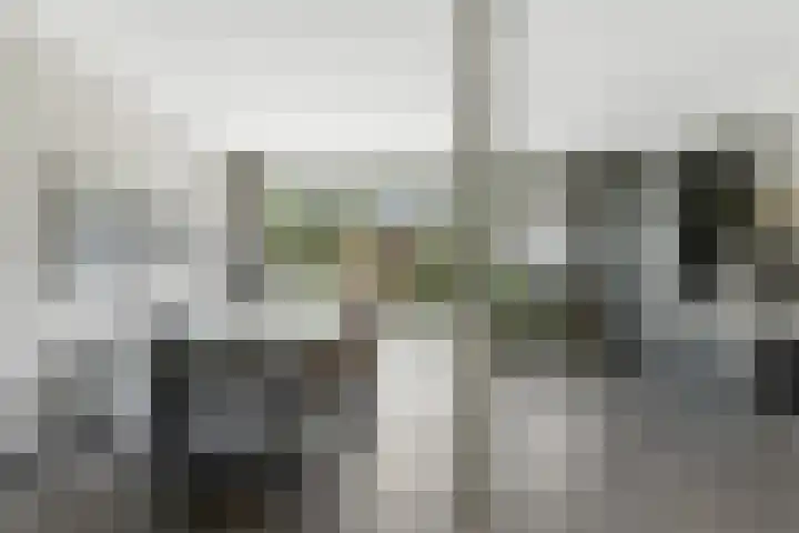 Admiraal de Ruyterlaan 30 Hendrik-Ido-Ambacht thumbnail 8