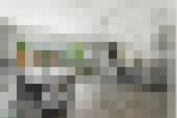 Admiraal de Ruyterlaan 30 Hendrik-Ido-Ambacht thumbnail 9