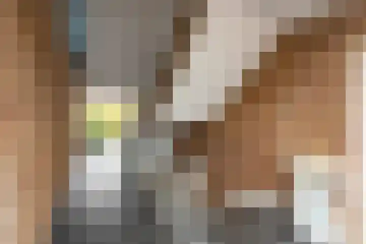 Admiraal de Ruyterlaan 30 Hilversum thumbnail 29