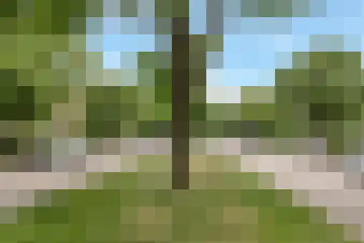 Admiraal de Ruyterlaan 35 Hilversum thumbnail 20