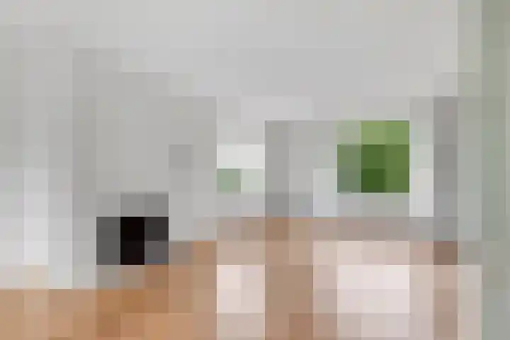 Admiraal de Ruyterlaan 35 Hilversum thumbnail 5