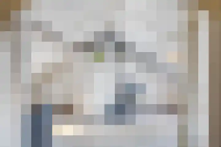 Admiraal de Ruyterlaan 4 Hendrik-Ido-Ambacht thumbnail 19