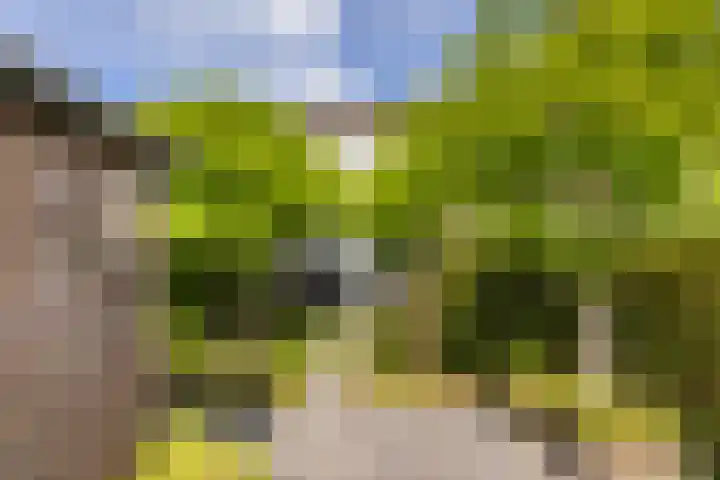 Admiraal de Ruyterlaan 4 Hendrik-Ido-Ambacht thumbnail 22