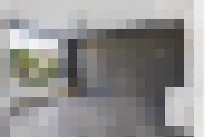Admiraal de Ruyterlaan 4 Hendrik-Ido-Ambacht thumbnail 4