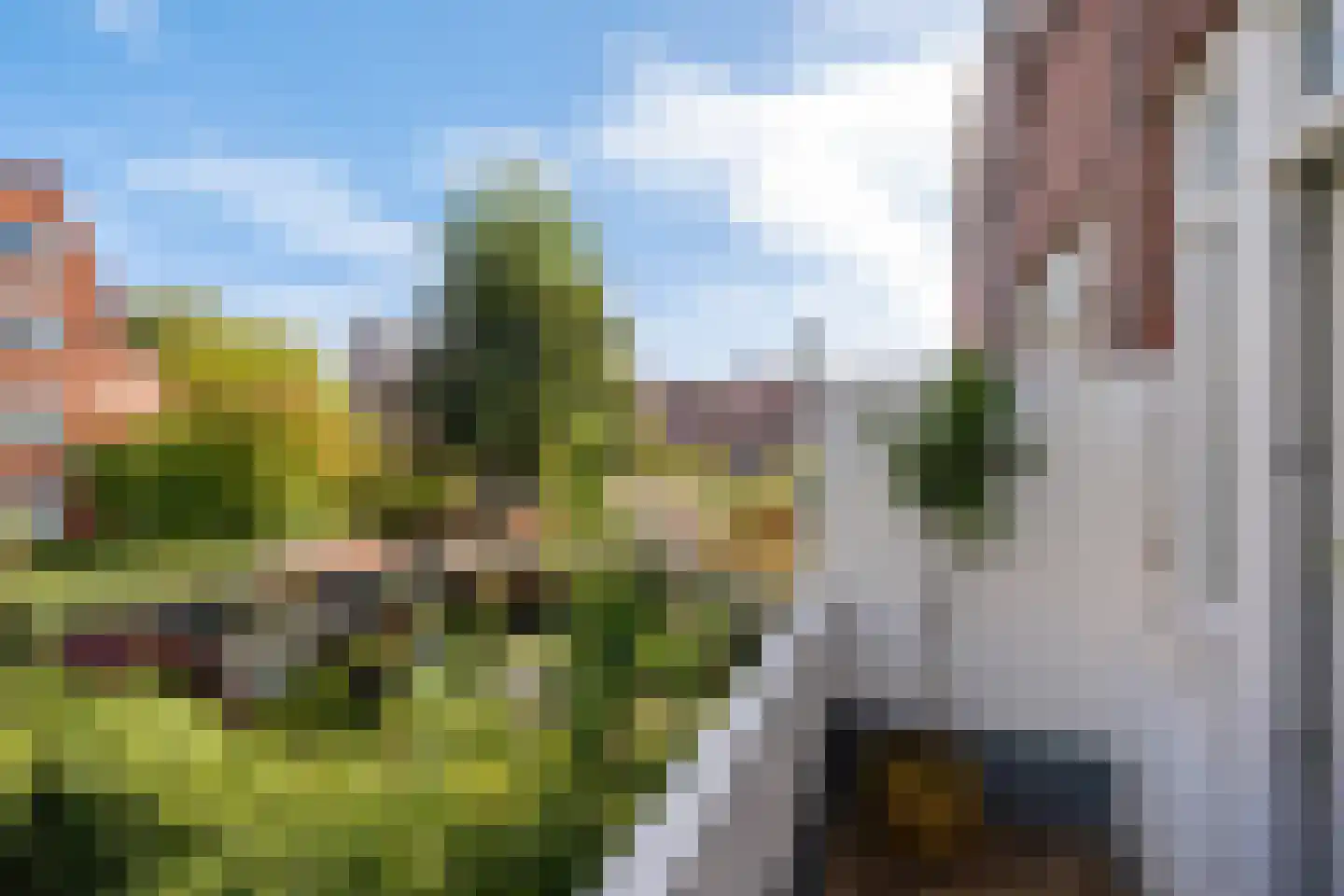 Admiraal de Ruyterlaan 42 b Groningen thumbnail 19