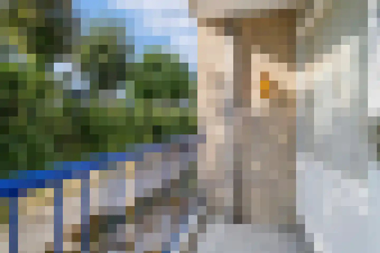 Admiraal de Ruyterlaan 55 Castricum thumbnail 4