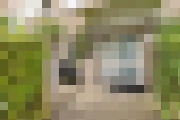 Admiraal de Ruyterlaan 55 Hilversum thumbnail 27