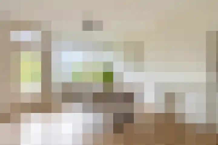 Admiraal de Ruyterlaan 55 Hilversum thumbnail 7
