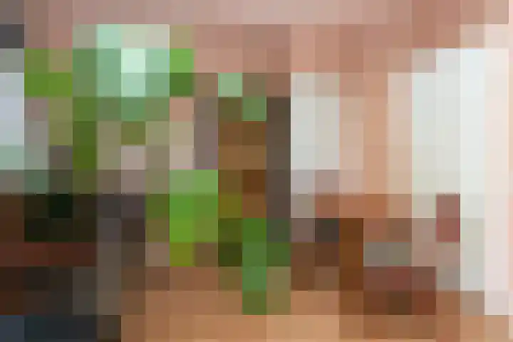 Admiraal de Ruyterlaan 59 Hilversum thumbnail 8