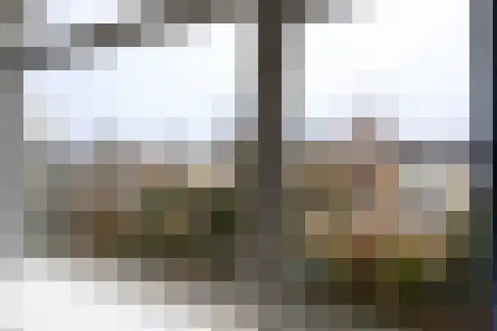 Admiraal de Ruyterlaan 63 Castricum thumbnail 18