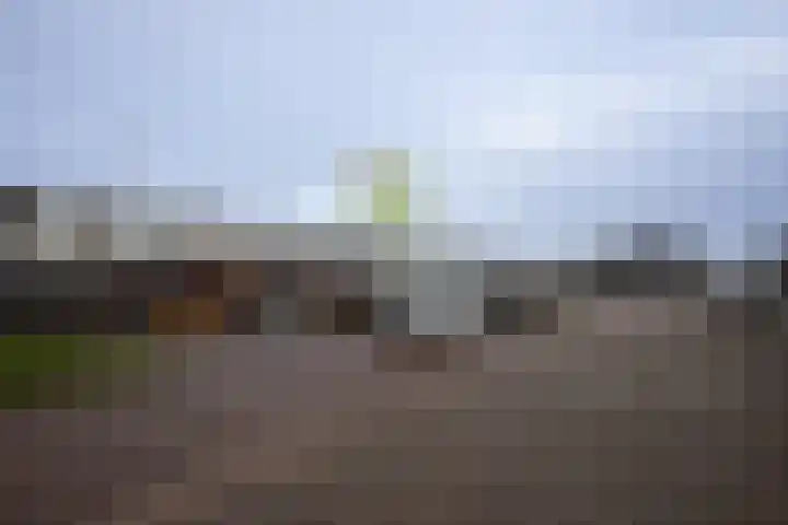 Admiraal de Ruyterlaan 63 Castricum thumbnail 28