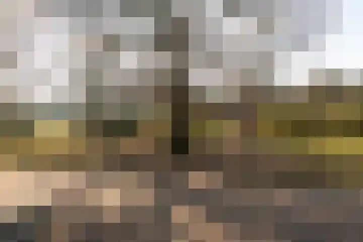 Admiraal de Ruyterlaan 65 Hilversum thumbnail 30