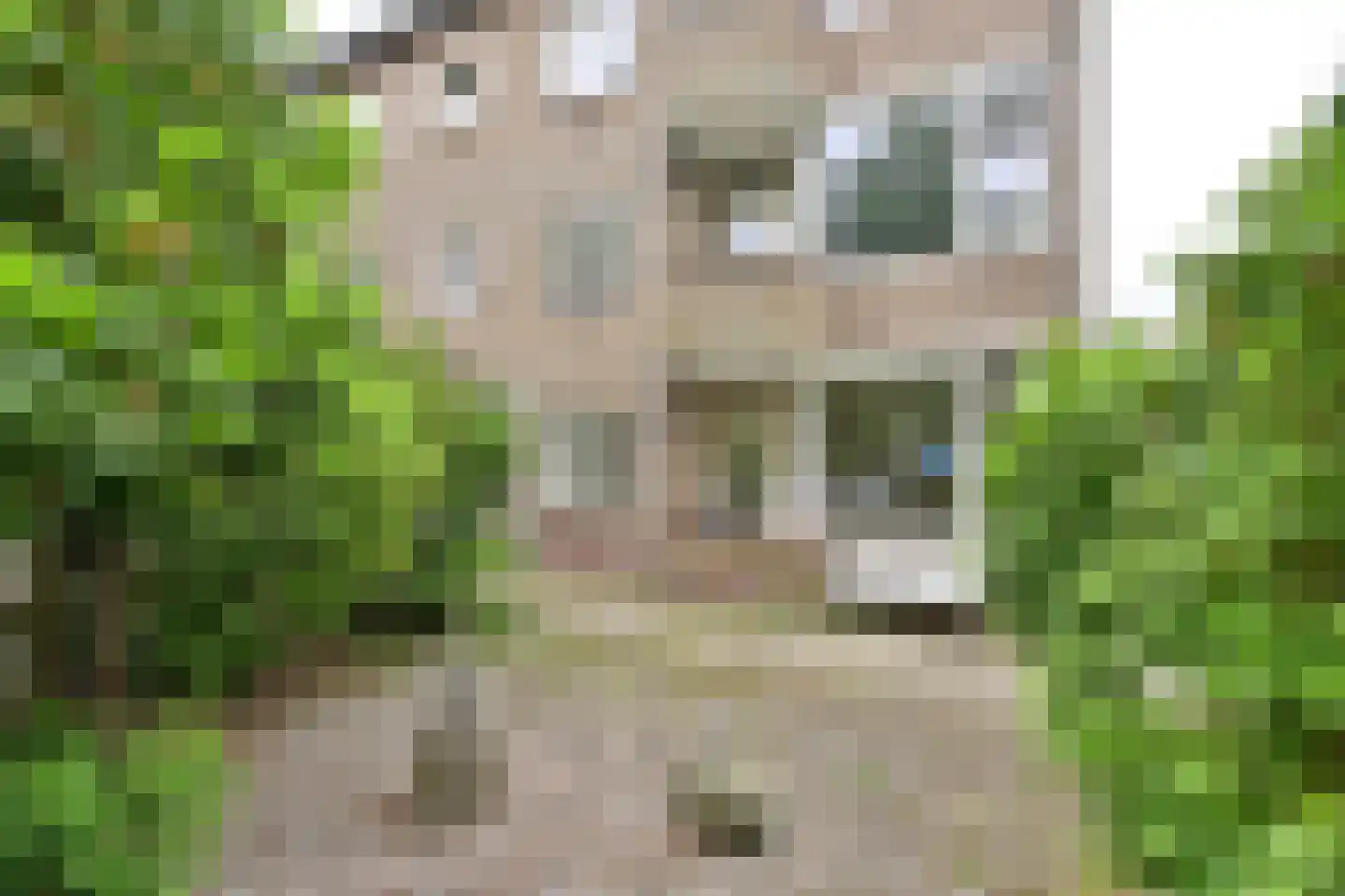 Admiraal de Ruyterlaan 69 in Hilversum