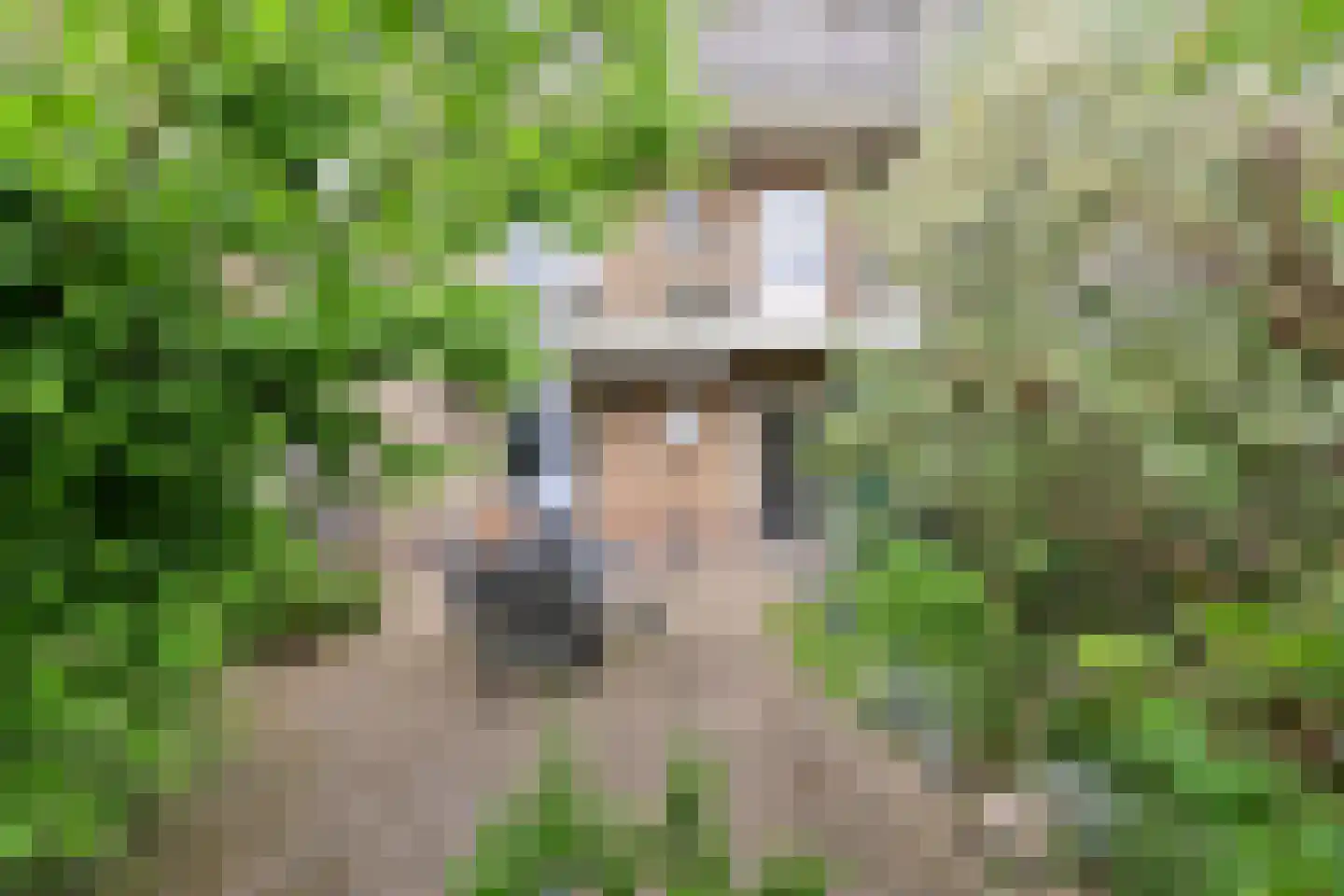 Admiraal de Ruyterlaan 69 Hilversum thumbnail 10