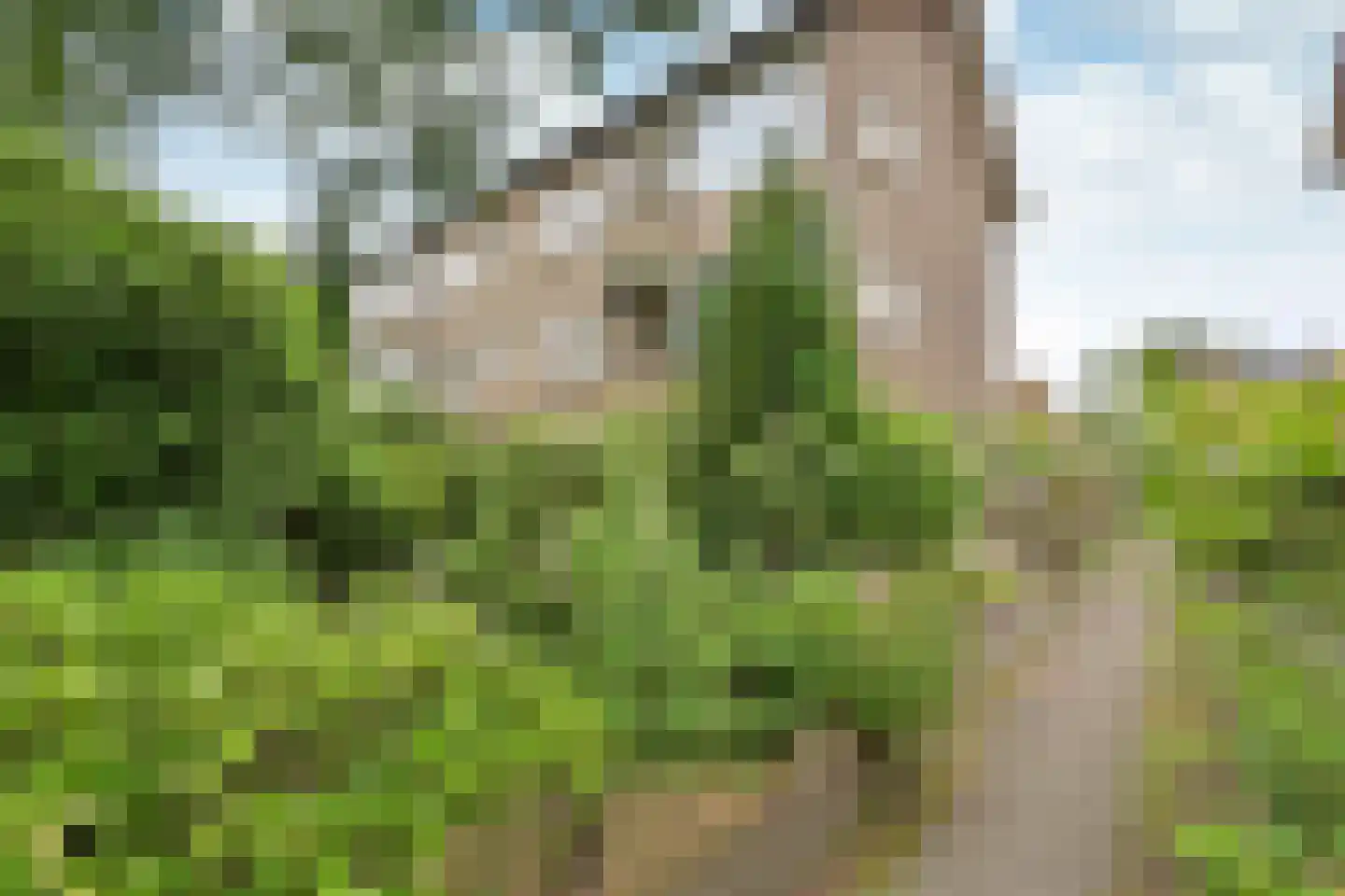 Admiraal de Ruyterlaan 69 Hilversum thumbnail 13