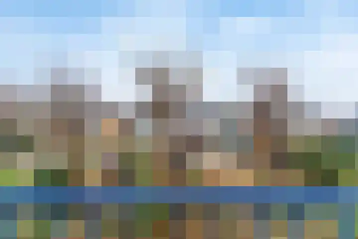 Admiraal de Ruyterlaan 75 Castricum thumbnail 27