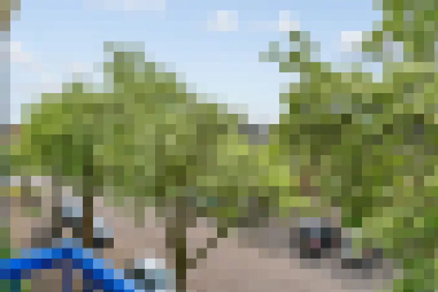 Admiraal de Ruyterlaan 89 Castricum thumbnail 27