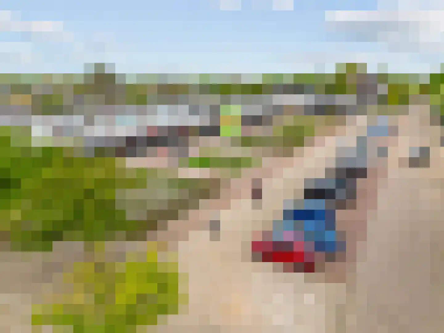 Admiraal de Ruyterlaan 89 Castricum thumbnail 30