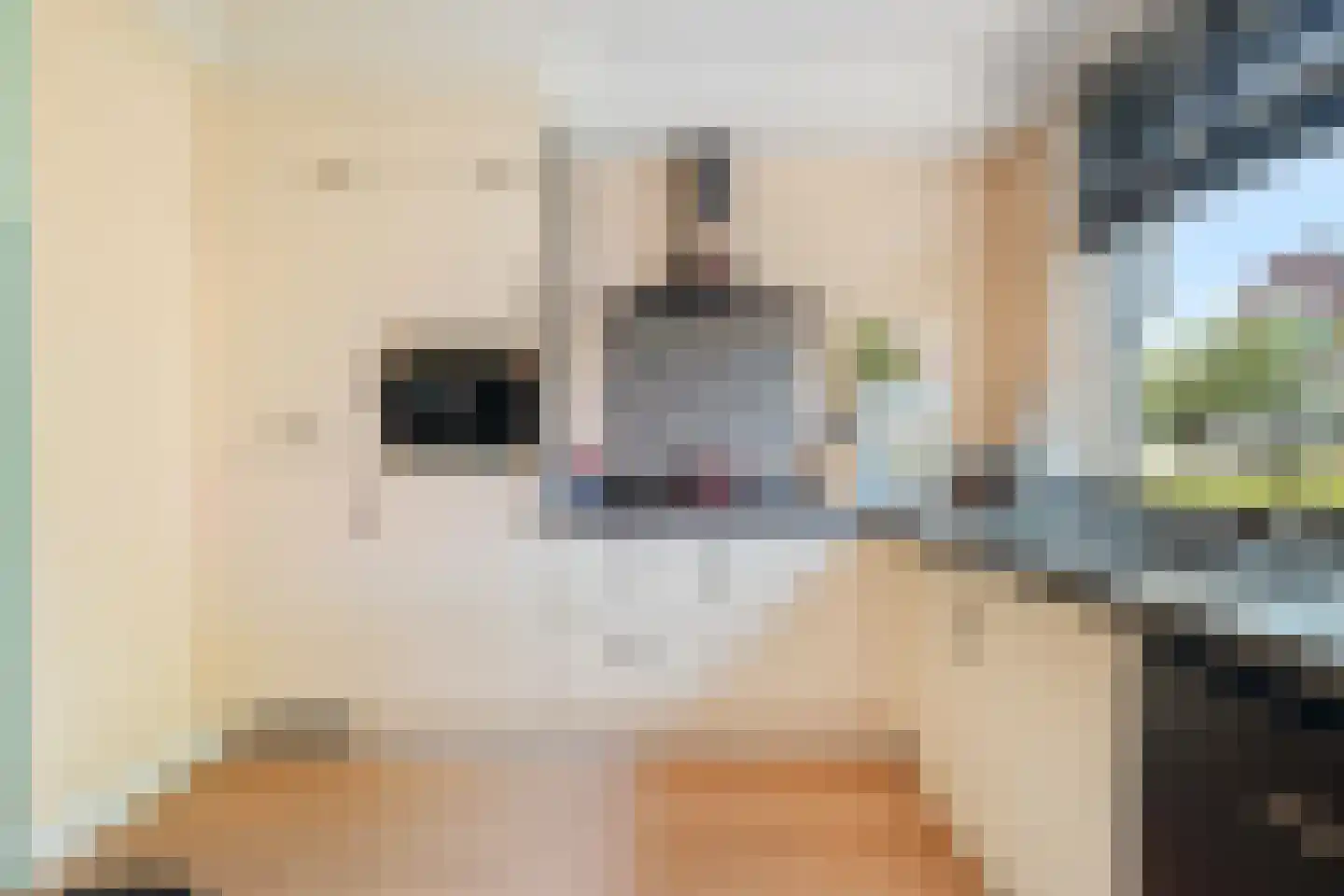 Admiraal de Ruyterstraat 14 Oud-Beijerland thumbnail 10