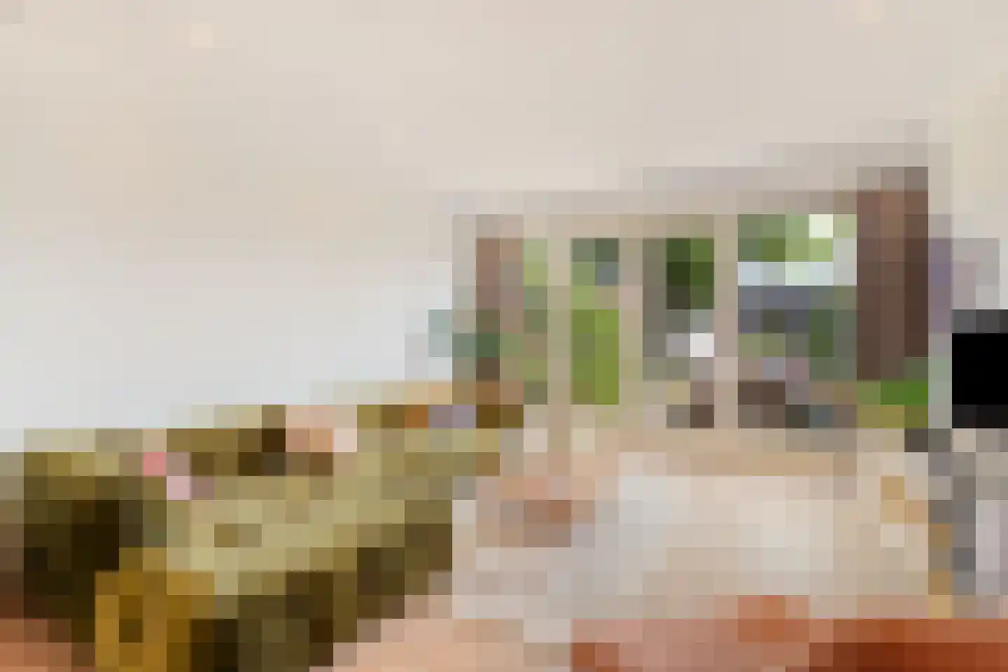 Admiraal de Ruyterstraat 14 Oud-Beijerland thumbnail 16