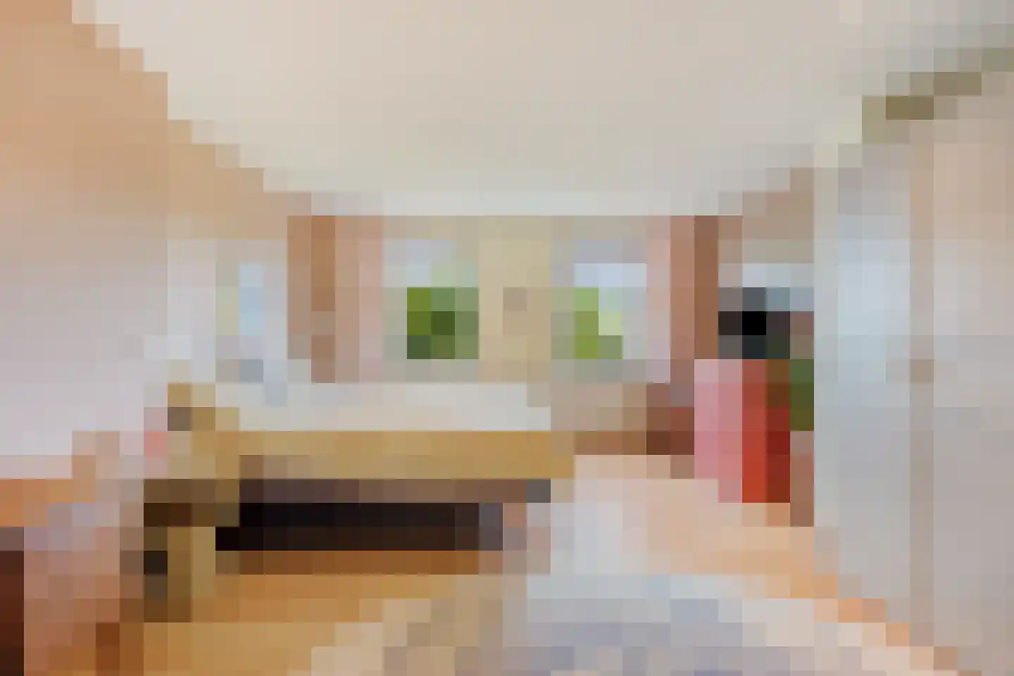 Admiraal de Ruyterstraat 14 Oud-Beijerland thumbnail 38