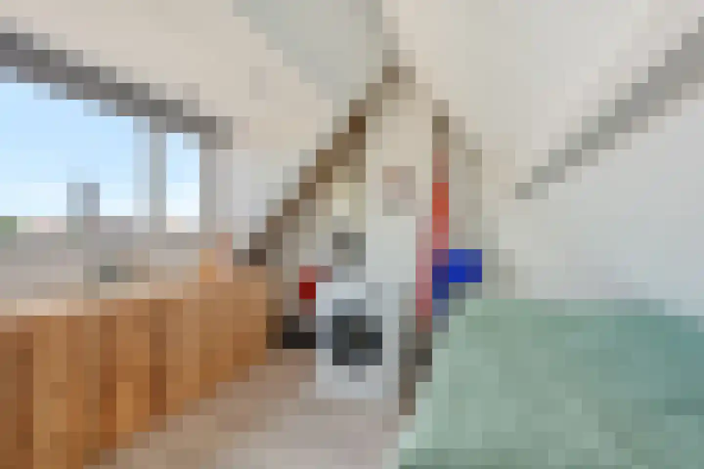 Admiraal de Ruyterstraat 14 Oud-Beijerland thumbnail 45