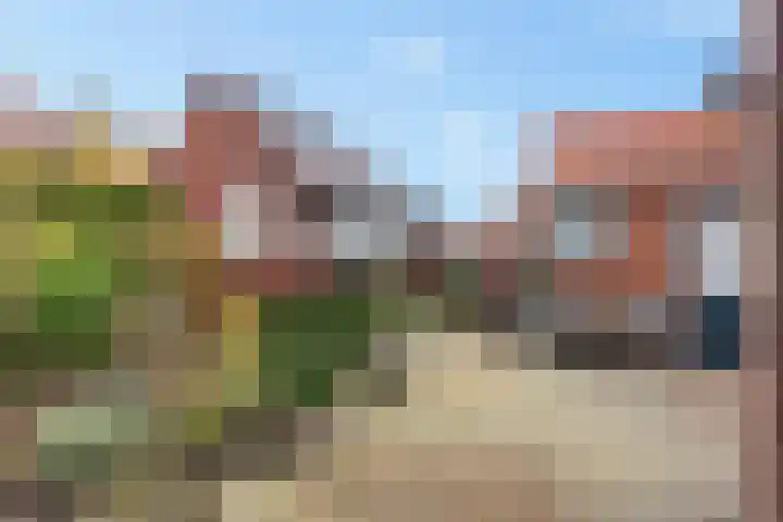 Admiraal de Ruyterstraat 15 Genemuiden thumbnail 19