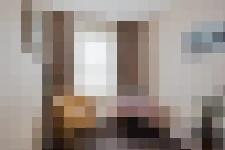 Admiraal de Ruyterstraat 15 Genemuiden thumbnail 22