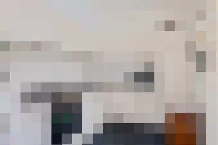 Admiraal de Ruyterstraat 15 Genemuiden thumbnail 4