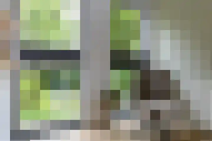Admiraal de Ruyterstraat 15 Steenwijk thumbnail 15