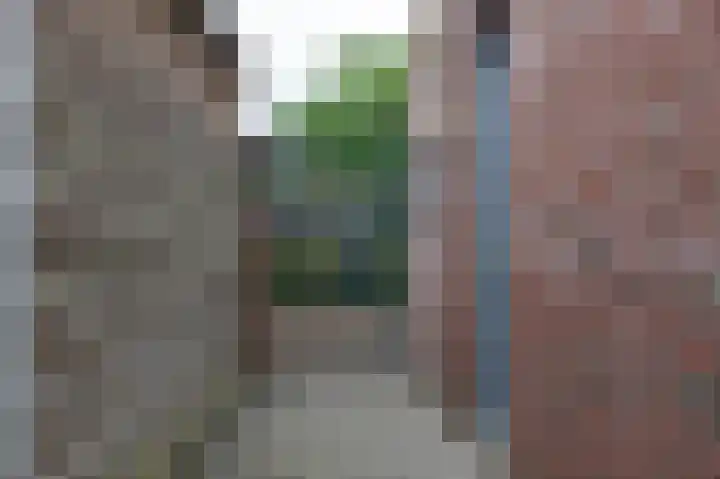 Admiraal de Ruyterstraat 15 Steenwijk thumbnail 41