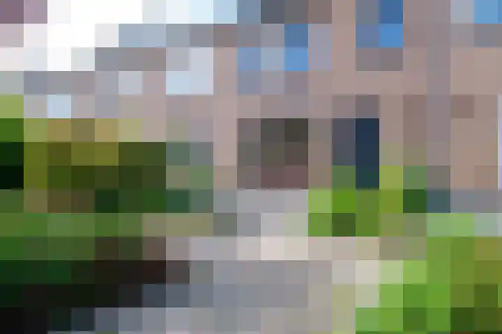 Admiraal de Ruyterstraat 16 Genemuiden thumbnail 41