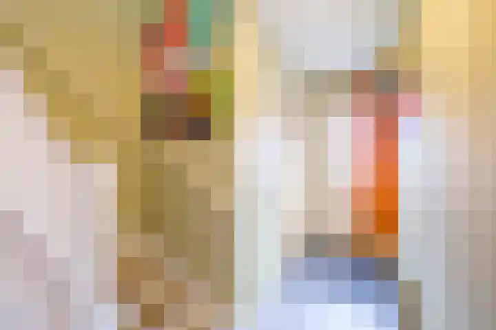 Admiraal de Ruyterstraat 16 Genemuiden thumbnail 8